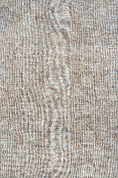 Vintage Mahal Area Rug (9' x 13')