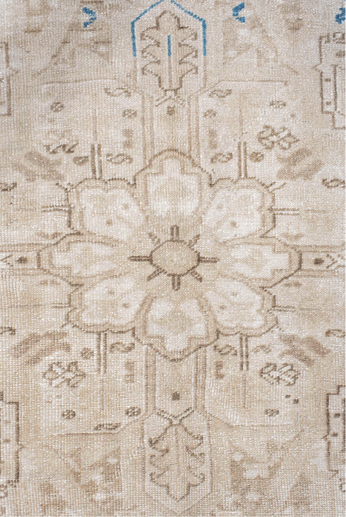 Antique Heriz Area Rug (9' x 12')