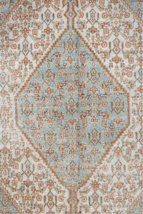 Vintage Senne Area Rug (4' x 6')