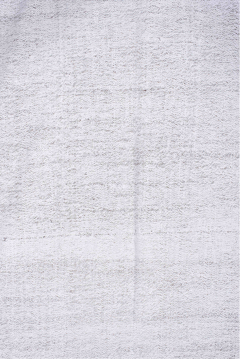 Antique Flatweave Area Rug (7' x 12')