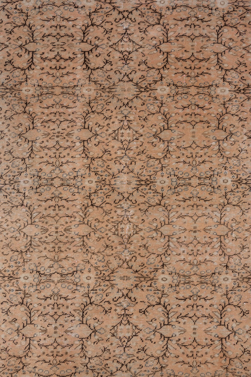 Vintage Kaisary Area Rug (6' x 9')