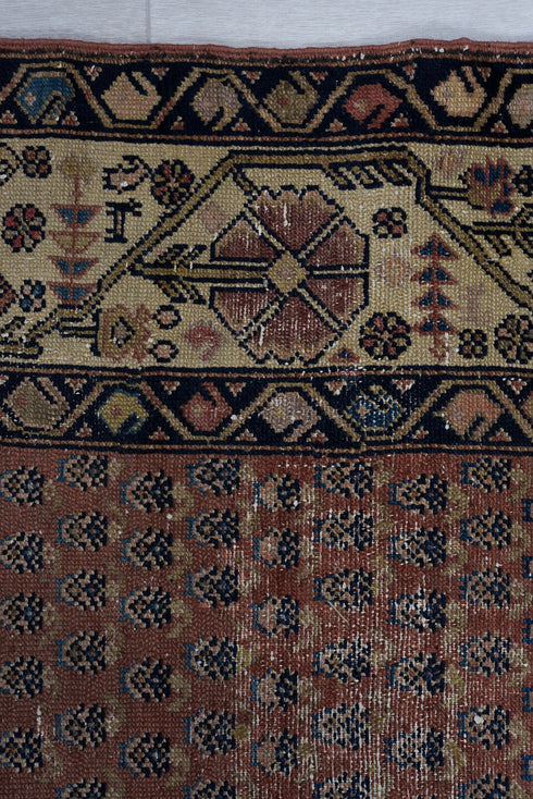Vintage Malayer Area Rug (4' x 6')