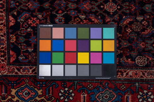 Antique Bidjar Runner Rug (3' x 16')