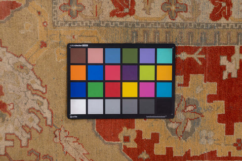 Antique Amritzar Area Rug (11' x 14')