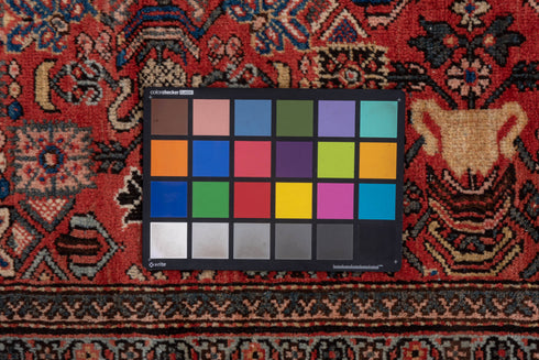 Vintage Mahal Area Rug (11' x 19')