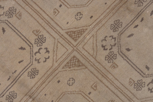 Vintage Kaisary Area Rug (8' x 12')