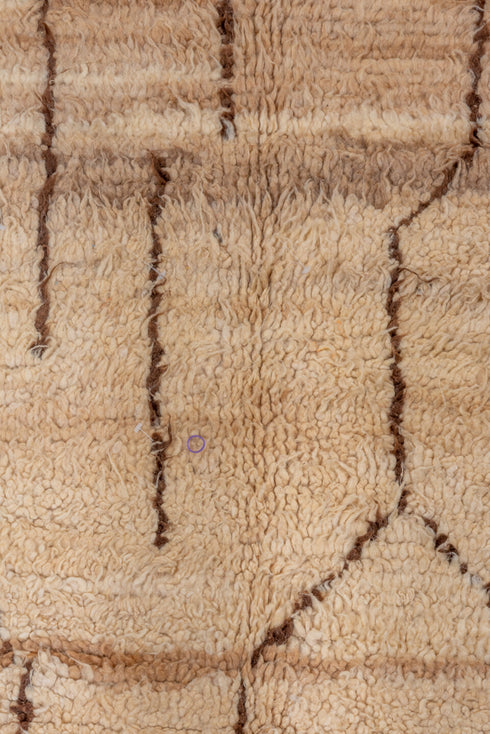 Vintage Moroccan Runner Rug (4' x 10')