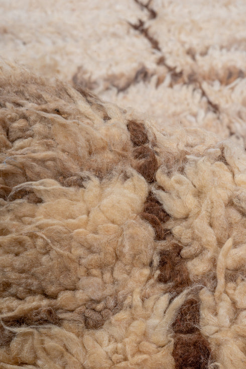 Vintage Moroccan Runner Rug (4' x 10')