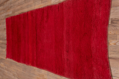 Vintage Moroccan Runner Rug (3' x 10')