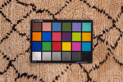 Vintage Moroccan Runner Rug (3' x 9')