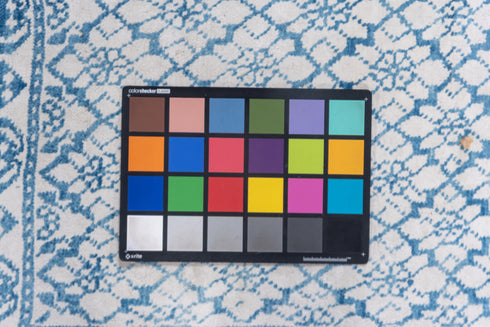 Vintage Agra Area Rug (4' x 6')