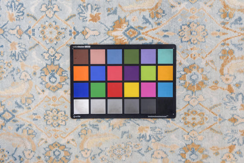 Antique Agra Area Rug (9' x 17')