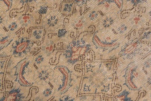 Vintage Kaisary Area Rug (7' x 12')