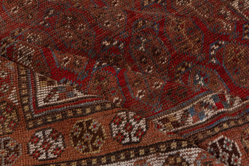 Vintage Shiraz Runner Rug (5' x 11')