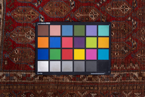 Vintage Shiraz Runner Rug (5' x 11')