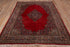 Antique Sarouk Area Rug (6' x 9')