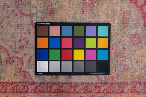 Vintage Kaisary Area Rug (4' x 6')