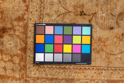 Antique Sivas Area Rug (6' x 9')