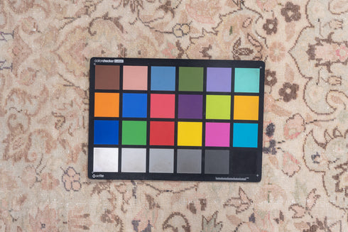 Vintage Kaisary Area Rug (4' x 6')