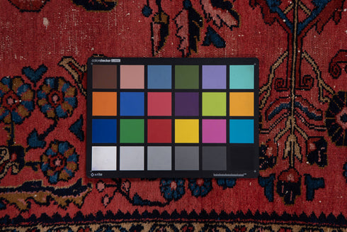 Antique Lilian Area Rug (3' x 4')