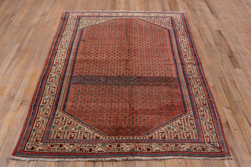 Antique Mahal Area Rug (4' x 6')