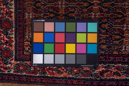 Antique Cam Hamadan Runner Rug (3' x 14')