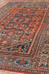 Antique Mahal Area Rug (6' x 10')
