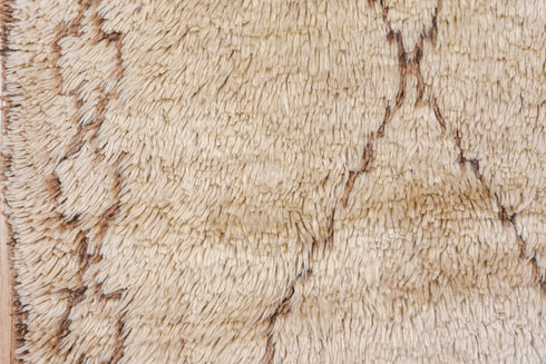 Vintage Moroccan Area Rug (6' x 12')