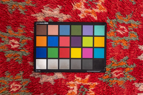 Vintage Moroccan Area Rug (6' x 9')