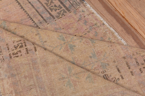 Antique Anatol Area Rug (2' x 4')