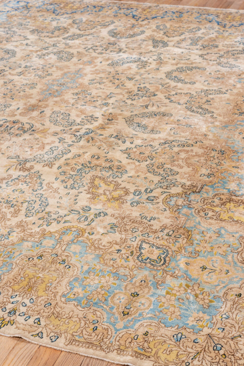 Antique Kerman Area Rug (7' x 9')