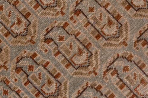 Antique Malayer Runner Rug (3' x 16')