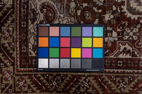 Antique Baktiary Area Rug (4' x 6')