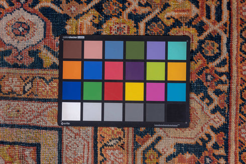 Antique Mahal Area Rug (10' x 15')