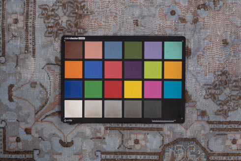 Vintage Distressed Area Rug (9' x 13')