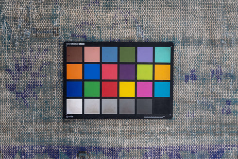 Antique Sparta Area Rug (6' x 9')