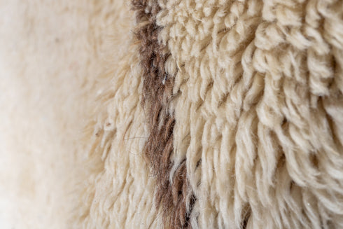 Vintage Moroccan Runner Rug (2' x 12')