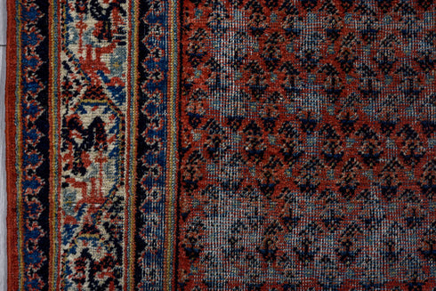 Vintage Saraband Area Rug (6' x 9')