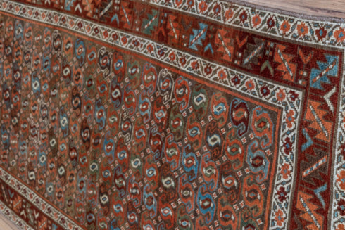 Vintage Malayer Runner Rug (3' x 14')