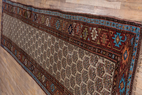 Vintage Kurd Runner Rug (3' x 16')