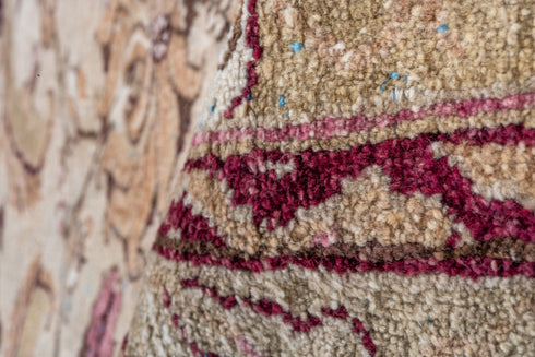 Vintage Agra Area Rug (6' x 12')