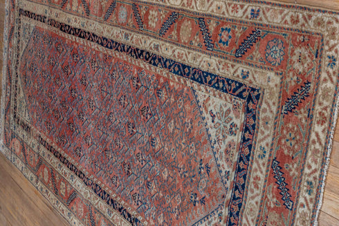 Vintage Malayer Runner Rug (3' x 8')