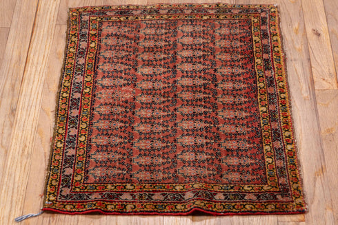 Antique Senne Area Rug (1' x 2')