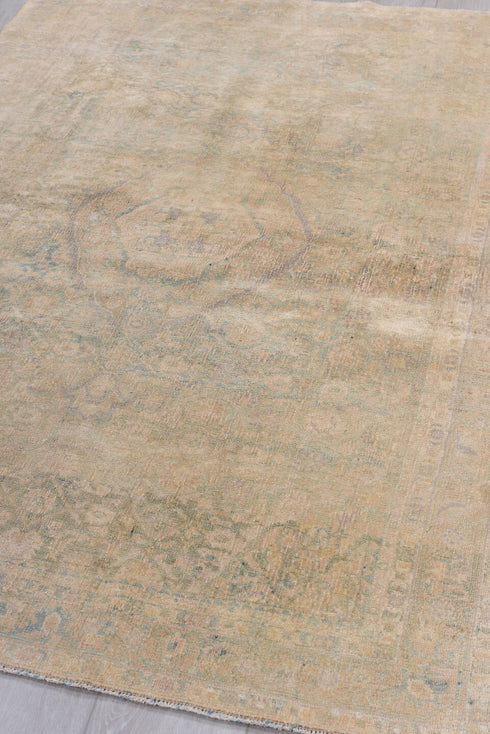 Antique Bidjar Area Rug (4' x 6')