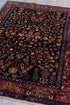 Antique Hamadan Area Rug (4' x 6')