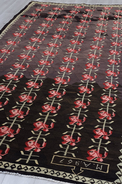 Antique Besserabian Area Rug (5' x 11')