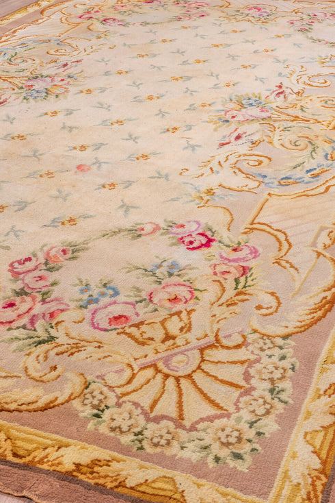 Vintage Savonnerie Area Rug (6' x 10')