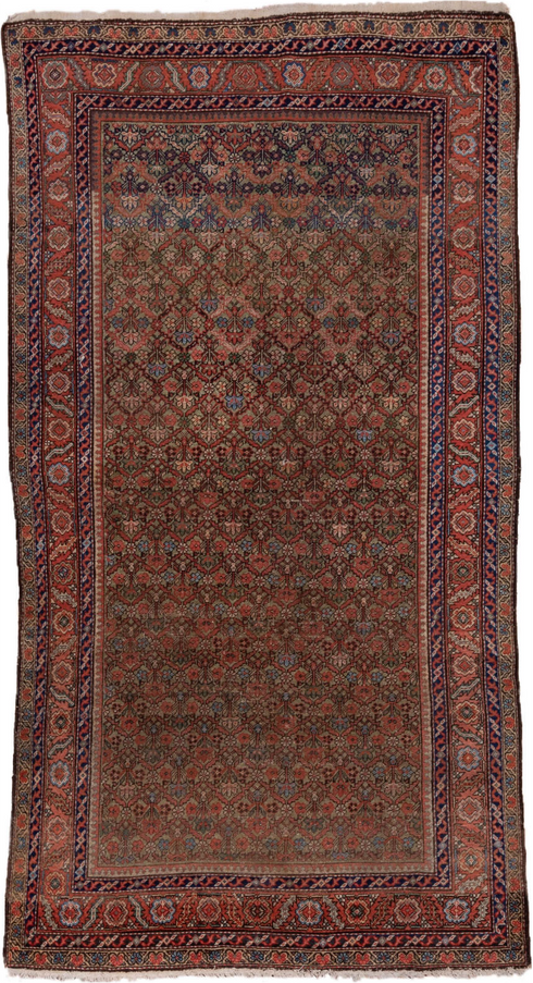 Vintage Mahal Area Rug (5' x 10')
