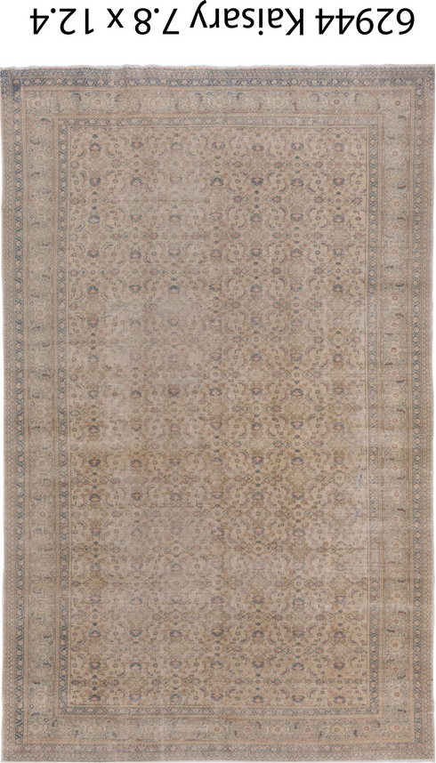 Vintage Kaisary Area Rug (7' x 12')