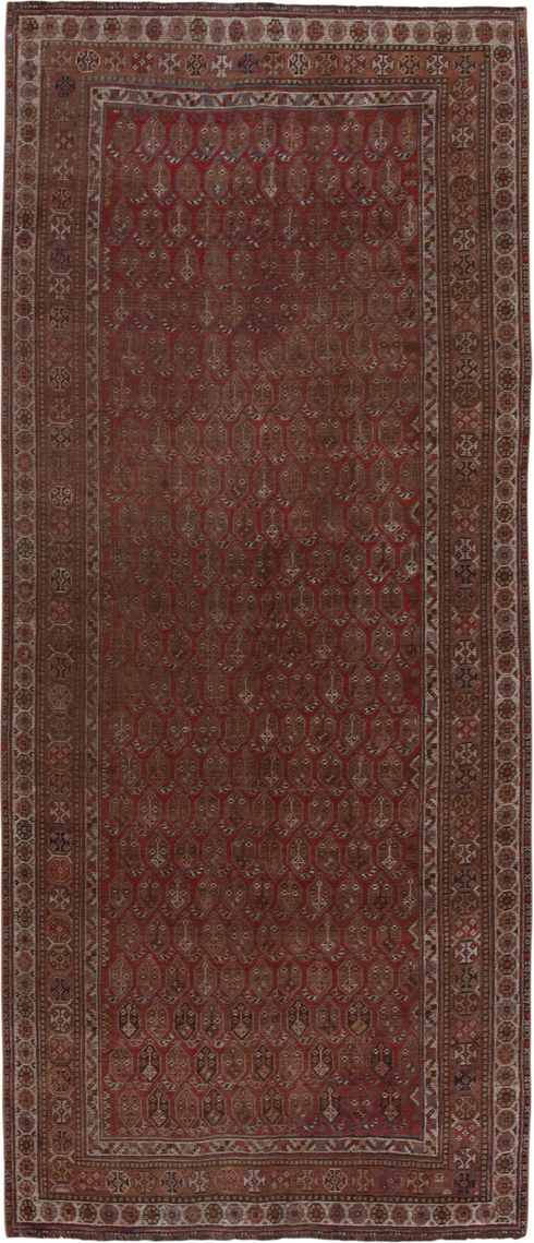 Vintage Shiraz Runner Rug (5' x 11')